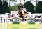 Mark Edwards Dominates at South of England Show in Thrilling International Stairway Leg